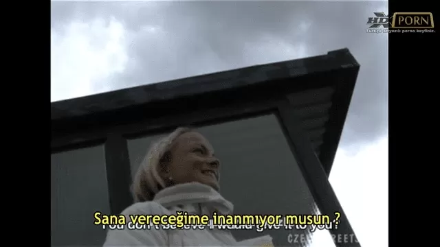 Türk kivircik
