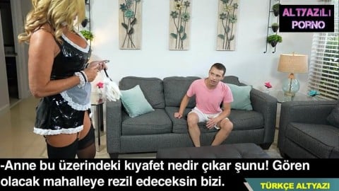 Atların çiftleşme videoları